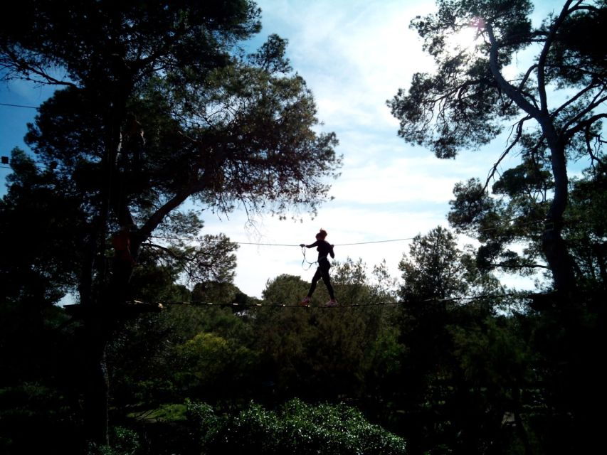 Palma: Family or Sports Course Adventure at Forestal Park - Good To Know