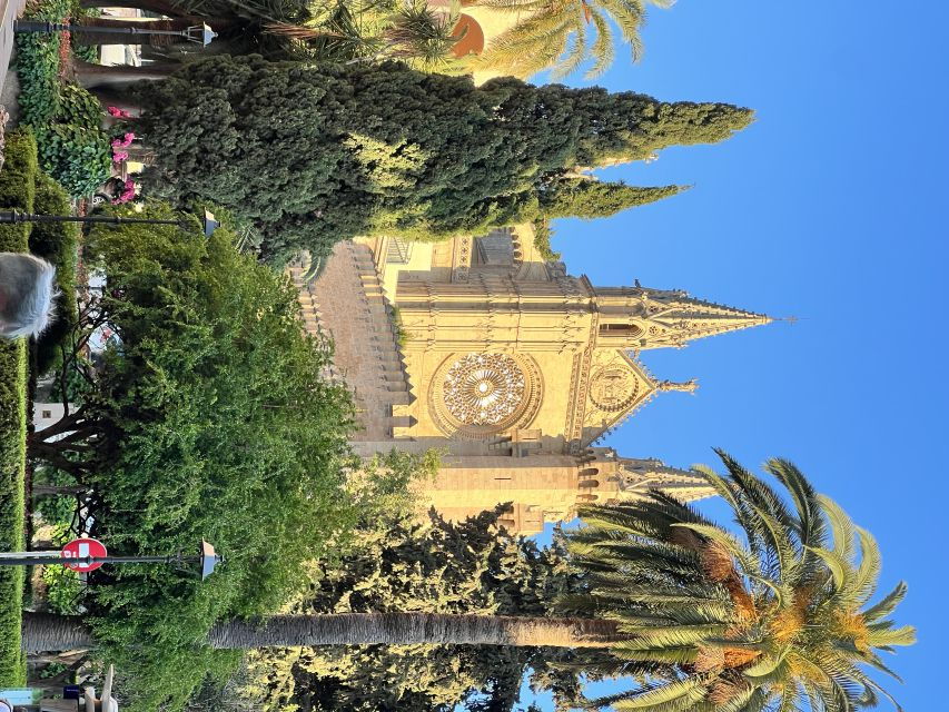 Palmas Sightseeing Highlights in 90 Minutes - Good To Know