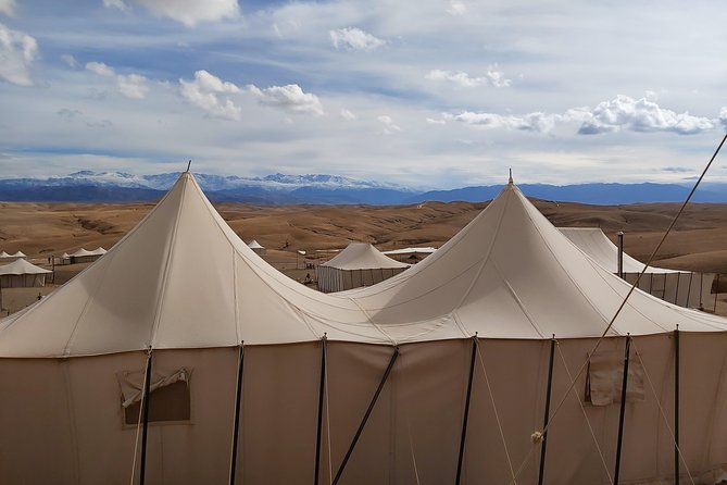 Palmerai Groove Camel Ride With Sunset - Good To Know