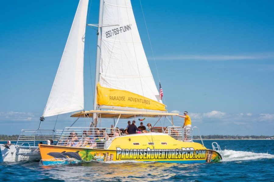 Panama City Beach: Dolphin Watching Trip by Catamaran - Good To Know