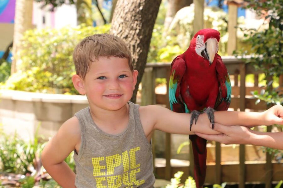 Panama City Beach: Gulf World Marine Park Entry Ticket - Experience Highlights