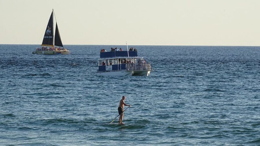 Panama City: Sunset Dolphin Cruise in St. Andrews Bay - Activity Details