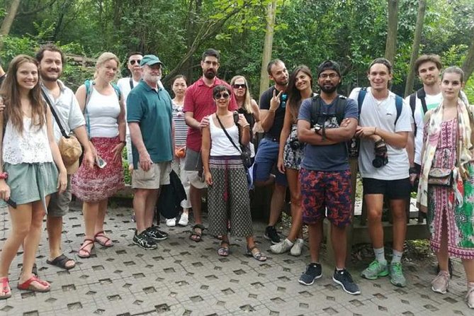 Panda and Leshan Buddha Small Group Tour
