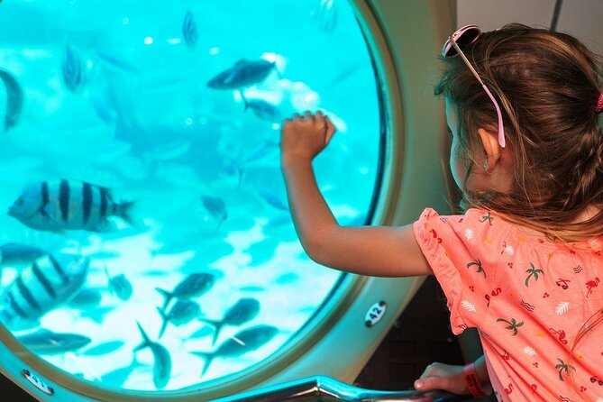 Panorama Semi Submarine Snorkeling Cruise in Makadi Bay - Good To Know