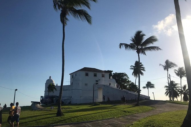 Panoramic City Tour - Half Day in Salvador