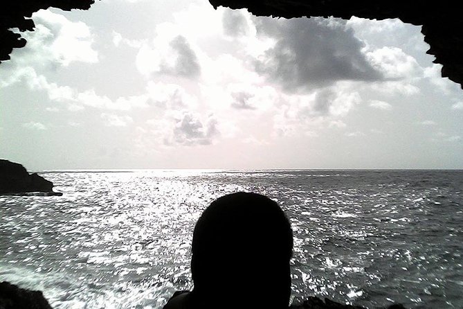 Panoramic Coastal Barbados Tour