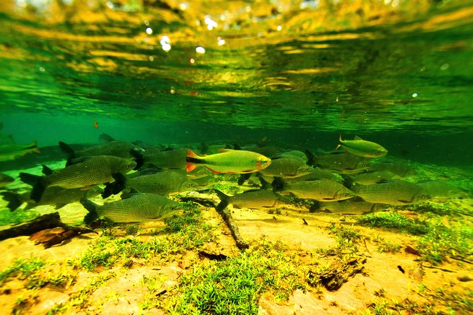 6 Best Tours In Central Brazil