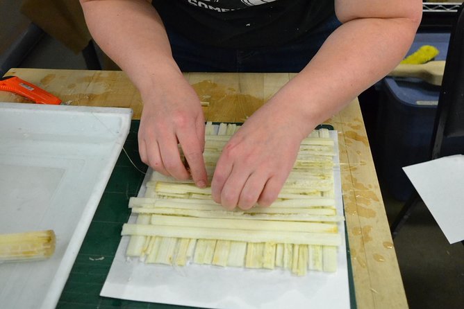 Papyrus Manufacturing Tour and Papyrus Making Demonstration - Good To Know