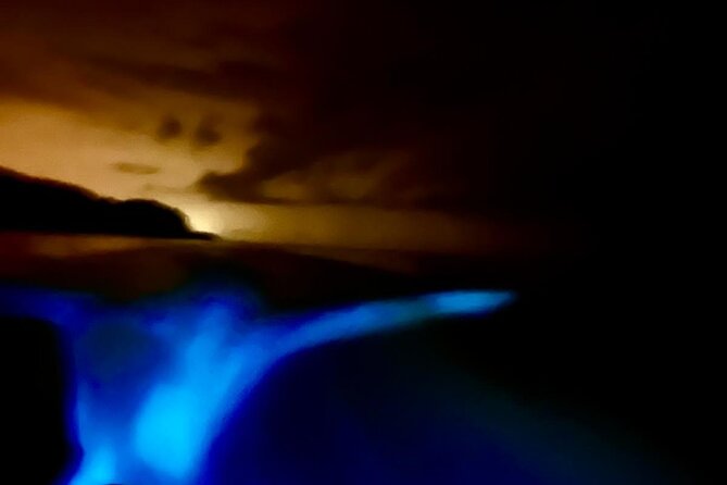 Paquero Bay Bioluminescence Evening Swim and Snorkel Tour - Santa Teresa
