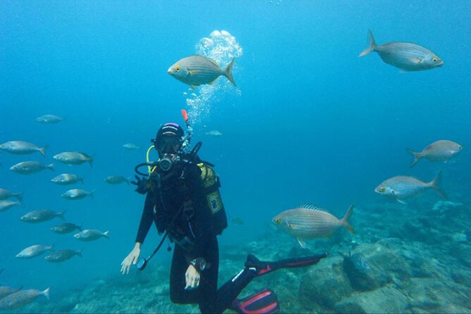 Paradise Island Snorkeling Day Boat Trip in Hurghada - Good To Know