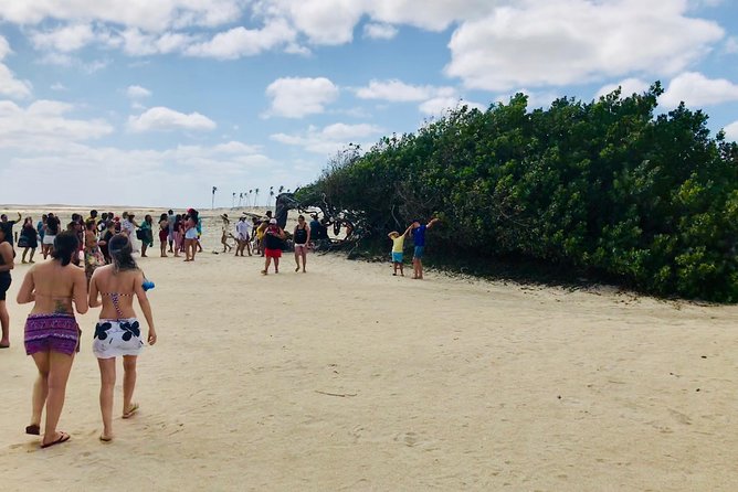 Paradise Lagoon Tour