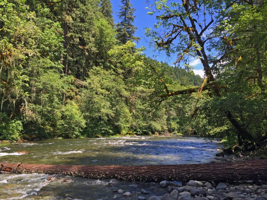 Paradise Valley Atlas Mountains Swimming Experience - Booking Details