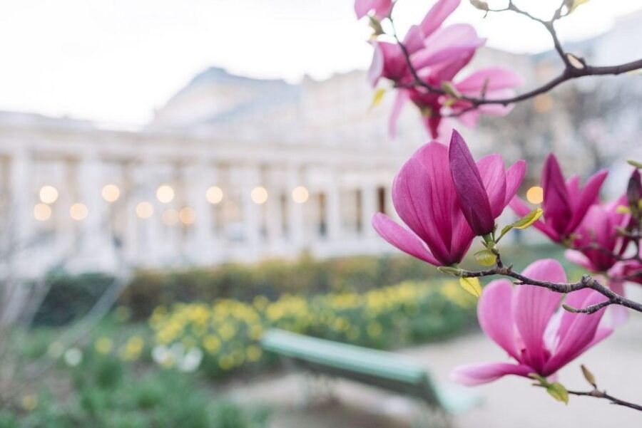 Paris: Palais Royal & Covered Galleries Audio Tour (EN) - Good To Know
