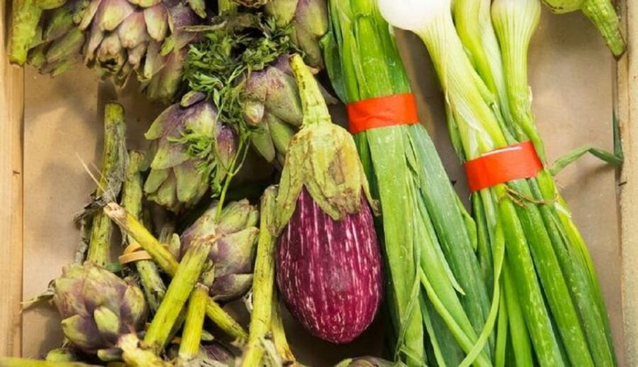 Paris: Private Food Tour in St. Germain - Good To Know