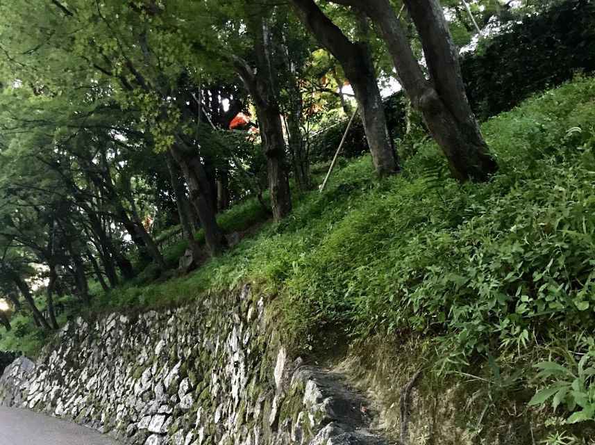 Paris Secret Gardens 1.30 Hour Long Walking Tour - Good To Know