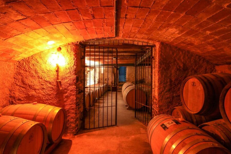 Paris: Two Reims Champagne Vineyards With Tastings and Lunch - Good To Know