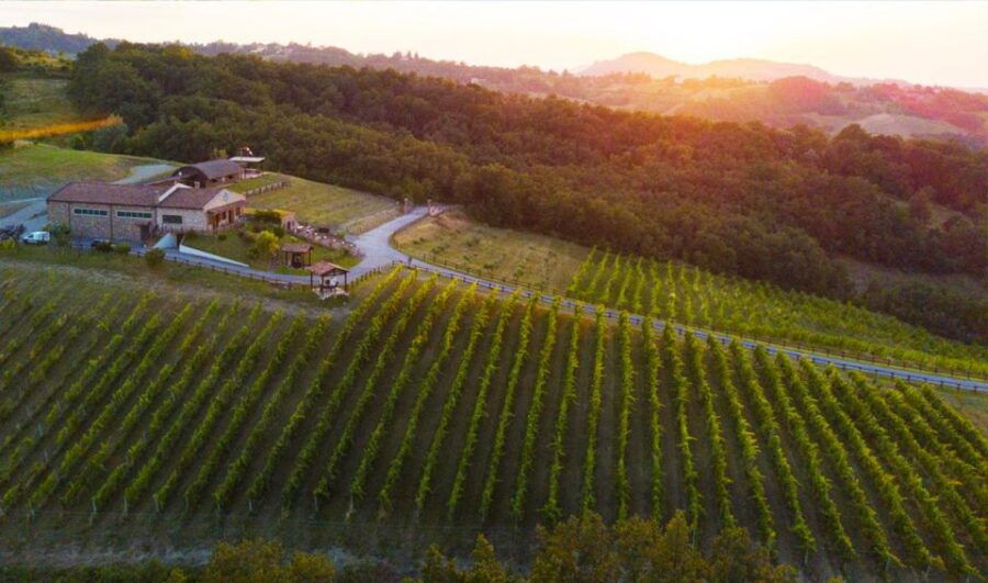 Parma: Winery Tour and Tasting - Good To Know