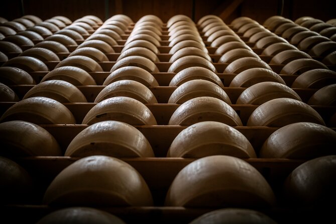 Parmigiano and Culatello Private Tour With Lunch and Farm Visit - Good To Know