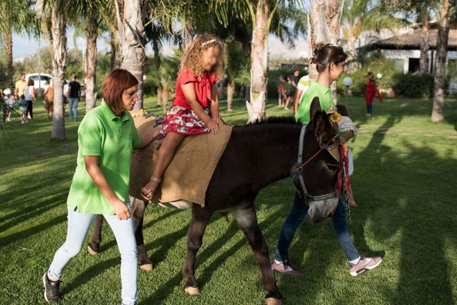 Partinico: Farm’s Animals and Aromatic Garden Experience
