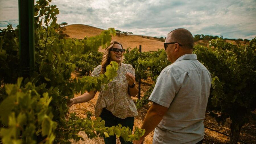 Paso Robles: Wine Country Sightseeing Tour by Sidecar - Good To Know