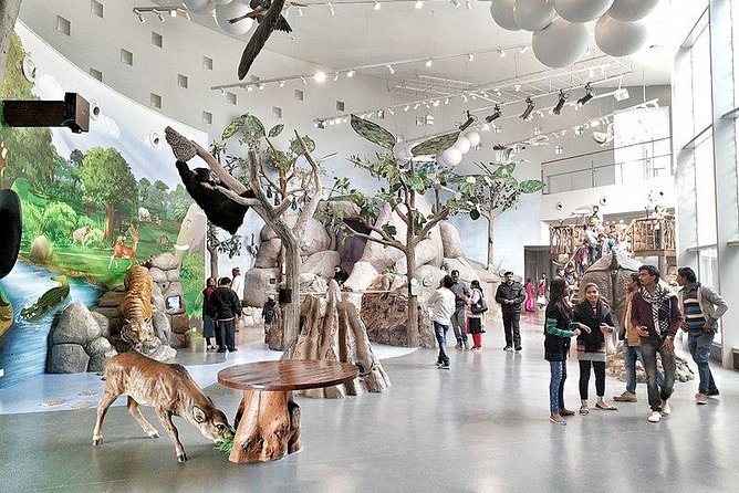 Patna Essentials Tour - Good To Know