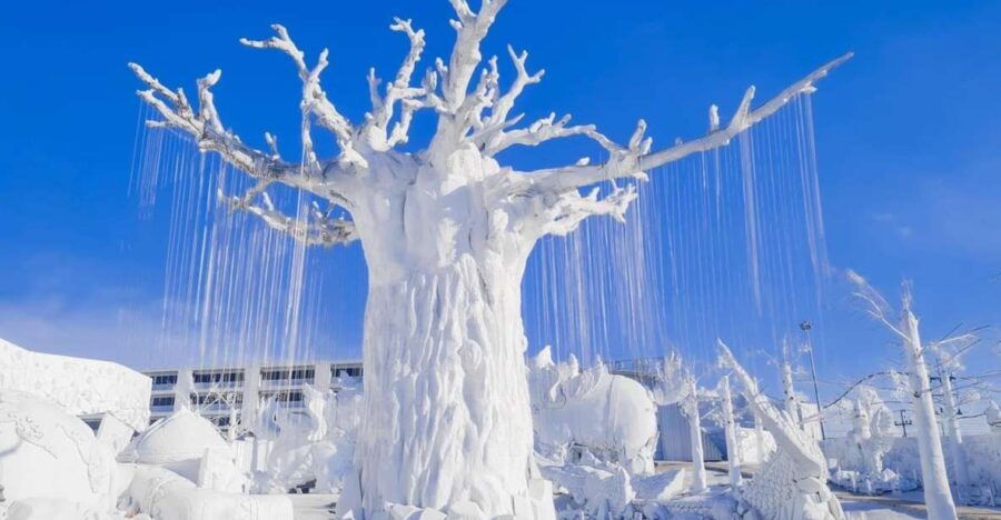 Pattaya: Frost Magical Ice of Siam - Tourist Entry Ticket - Good To Know