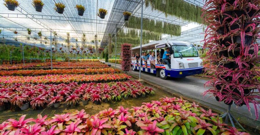 Pattaya: Nong Nooch Garden & Show With Hotel Transfer
