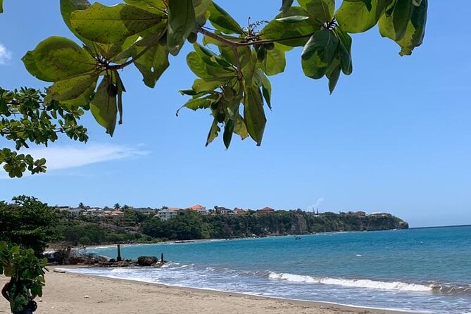 Peats Private Rustic Beach From Ocho Rios