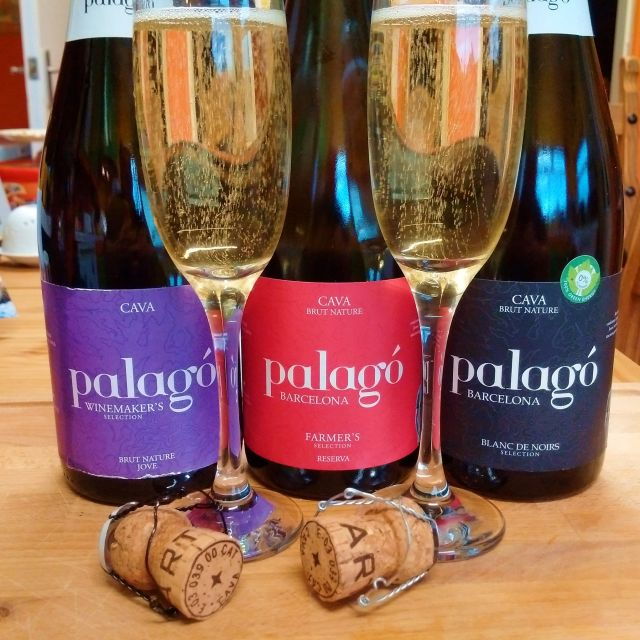 Penedès Workshop: Create Your Own Cava Bottle Workshop - Good To Know