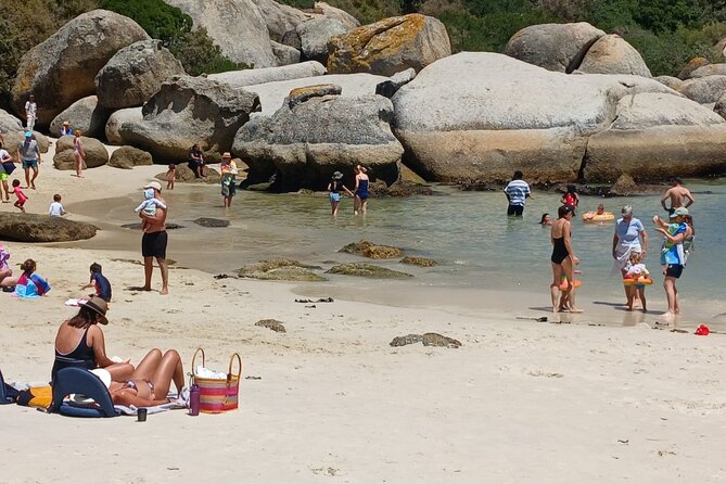 Penguin Watching & Beach Day at Boulders Beach, Cape Town - Good To Know