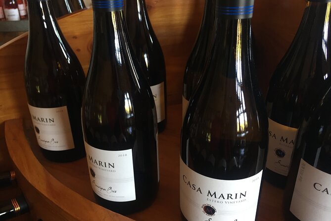 Penguins Poetry and Pinot Noir Tour Excites - Good To Know