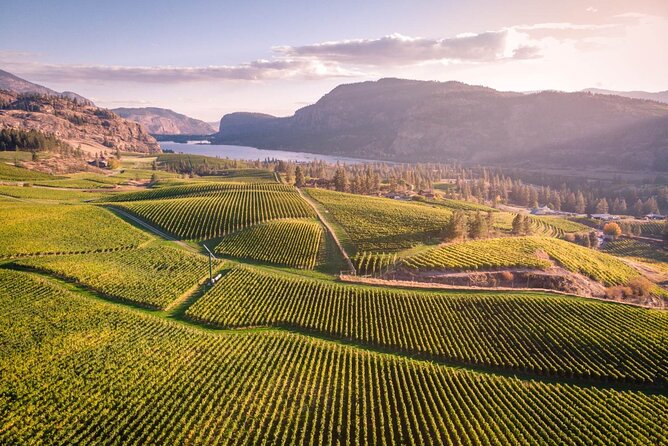 Penticton Wineries Tour Lunch