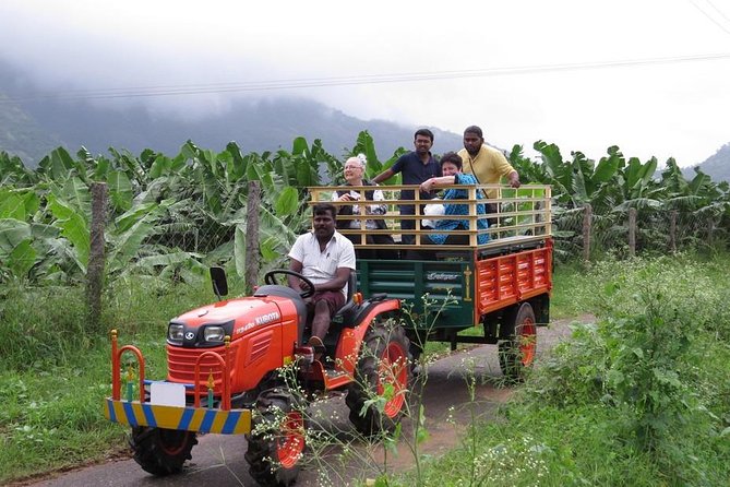 Periyar and Thekkady Overnight Tour With Farm Stay (Feb ) - Tour Highlights