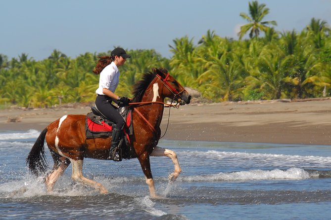Personalized Beach Adventure Near Jaco - Good To Know