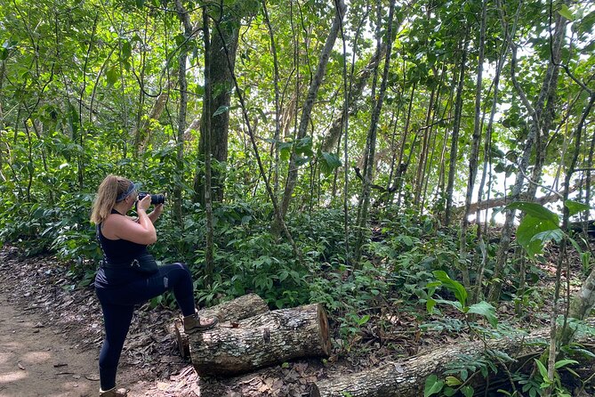 Personalized Private Tour Experience – Costa Rica