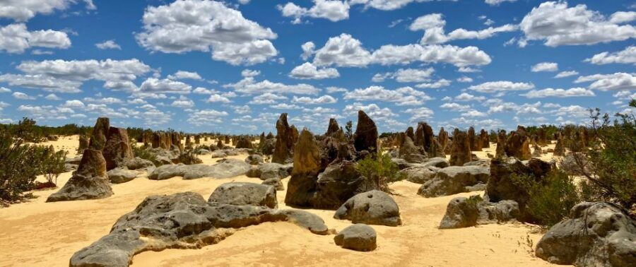 Perth: Pinnacles Desert Bush Walk Guided Tour With Lunch - Good To Know
