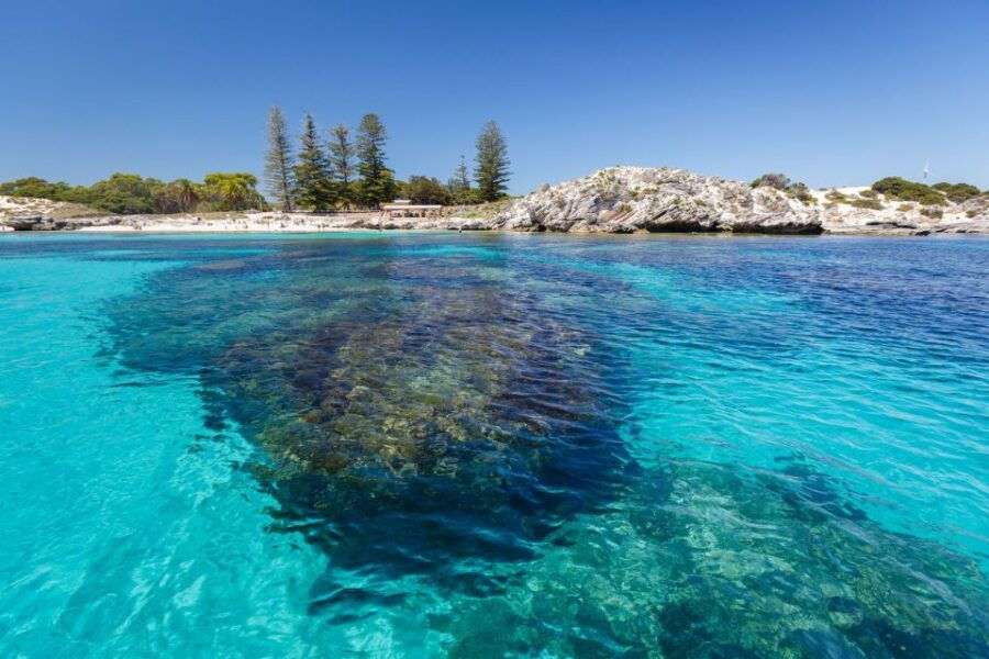 Perth: Rottnest Island Ferry Round-Trip Ticket - Good To Know