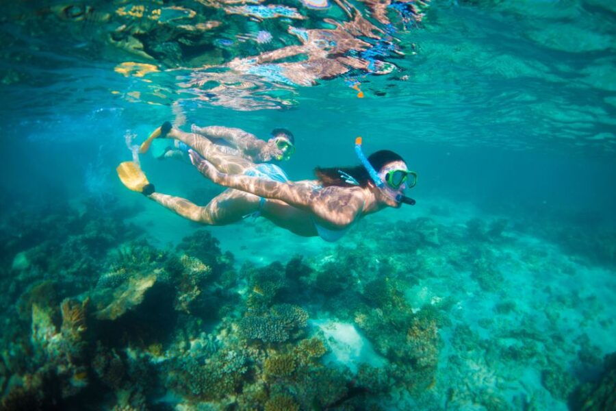 Perth to Exmouth 6-Day Coral Coaster One-Way Journey - Good To Know