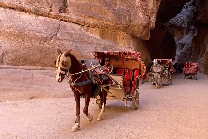 Petra by Ferry & Bus From Sharm El Sheikh Full Day Tour