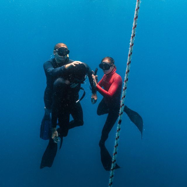 Phi Phi Island: Intro to Freediving (1 Day)