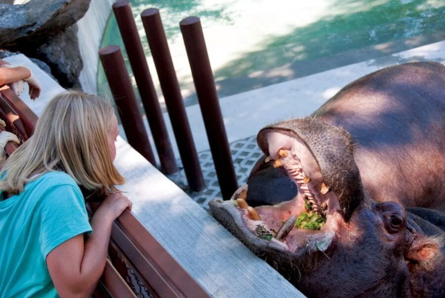 Philadelphia: Philadelphia Zoo Entry Ticket