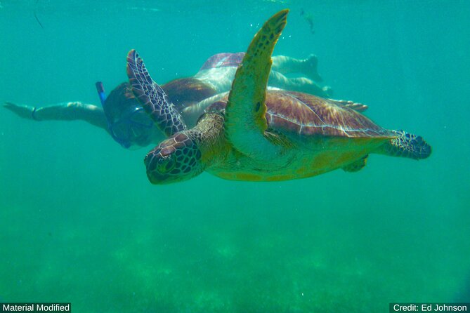 2 Best Workshops And Classes In Bohol