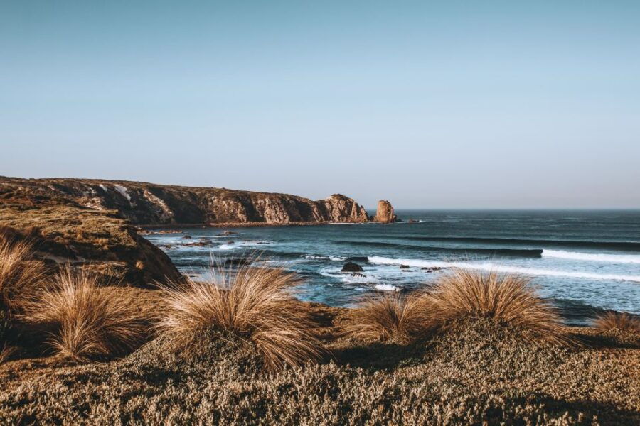 Phillip Island: Nature Hike and Penguin Parade With Guide - Good To Know