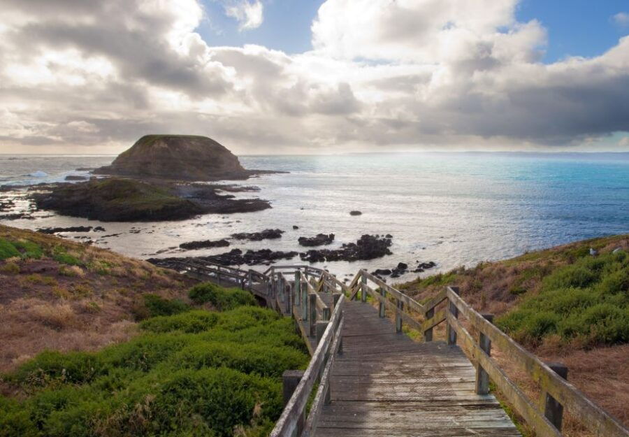 Phillip Island Wildlife & Brighton Beach Boxes Private Tour