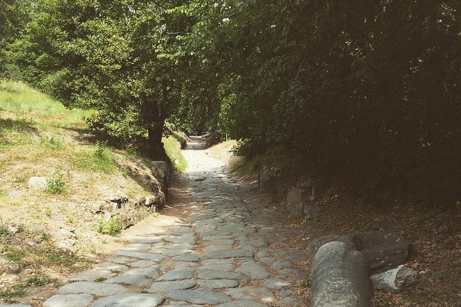 Phlegraean Fields Private Archaeologist-Led Tour  - Sorrento - Good To Know