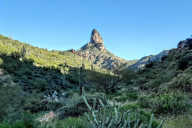 Phoenix Hiking Tours - Good To Know
