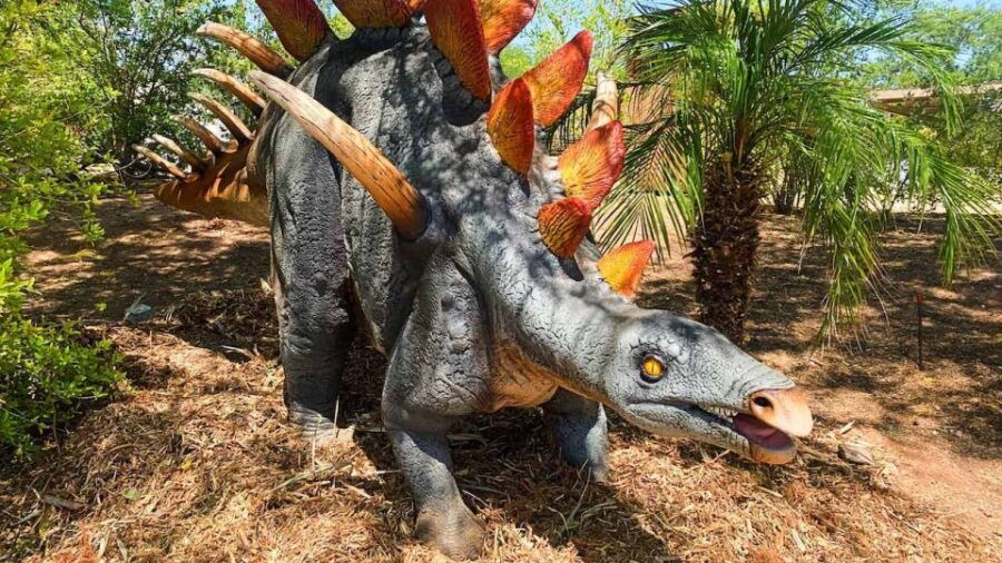 Phoenix Zoo: One Day General Admission Ticket - Good To Know