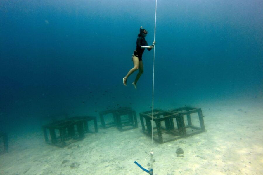 Phuket: Aida/Ssi/Molchanovs Freediving Level 1 - 3 Days - Good To Know