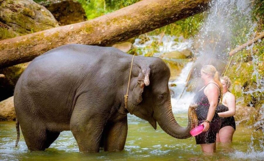 Phuket: Bamboo Rafting, ATV (Optional), Elephant Bathing. - Good To Know