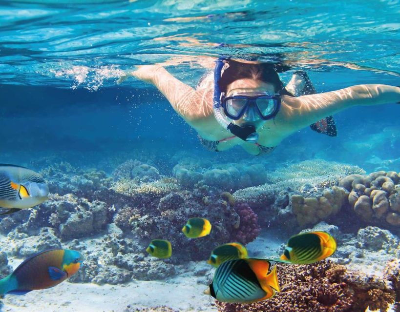 Phuket Coral Island Snorkeling Adventure (Private Speedboat) - Good To Know